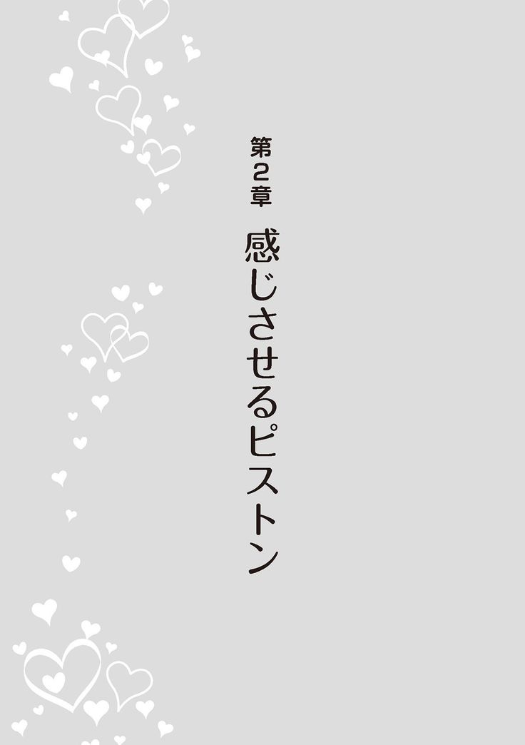 膣挿入＆ピストン運動完全マニュアル イラスト版……ピスとんッ！