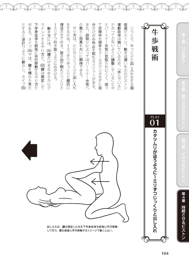 膣挿入＆ピストン運動完全マニュアル イラスト版……ピスとんッ！