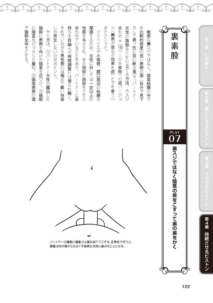 膣挿入＆ピストン運動完全マニュアル イラスト版……ピスとんッ！