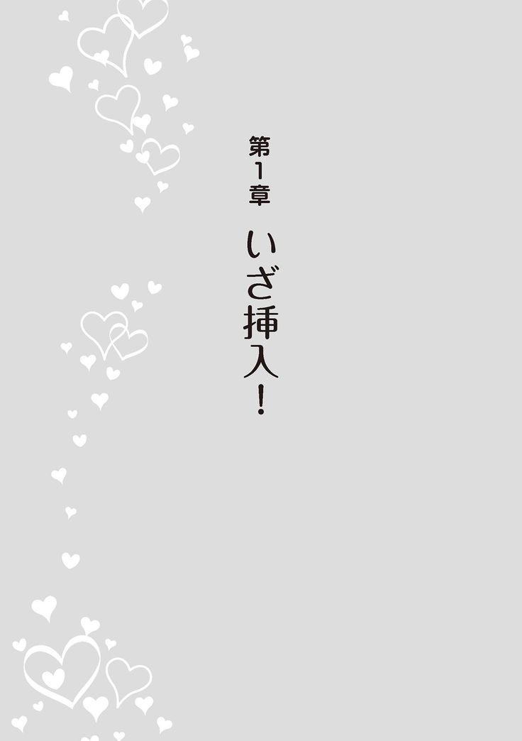 膣挿入＆ピストン運動完全マニュアル イラスト版……ピスとんッ！