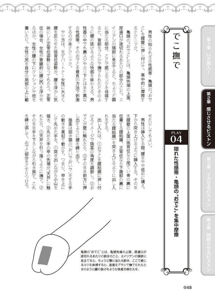 膣挿入＆ピストン運動完全マニュアル イラスト版……ピスとんッ！