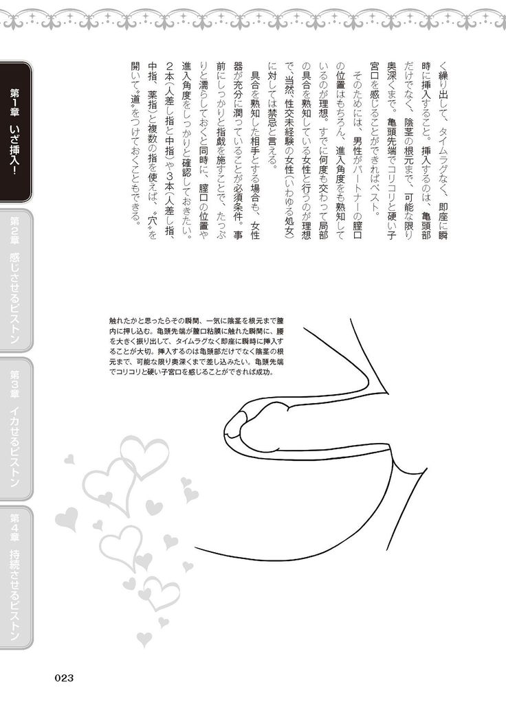 膣挿入＆ピストン運動完全マニュアル イラスト版……ピスとんッ！