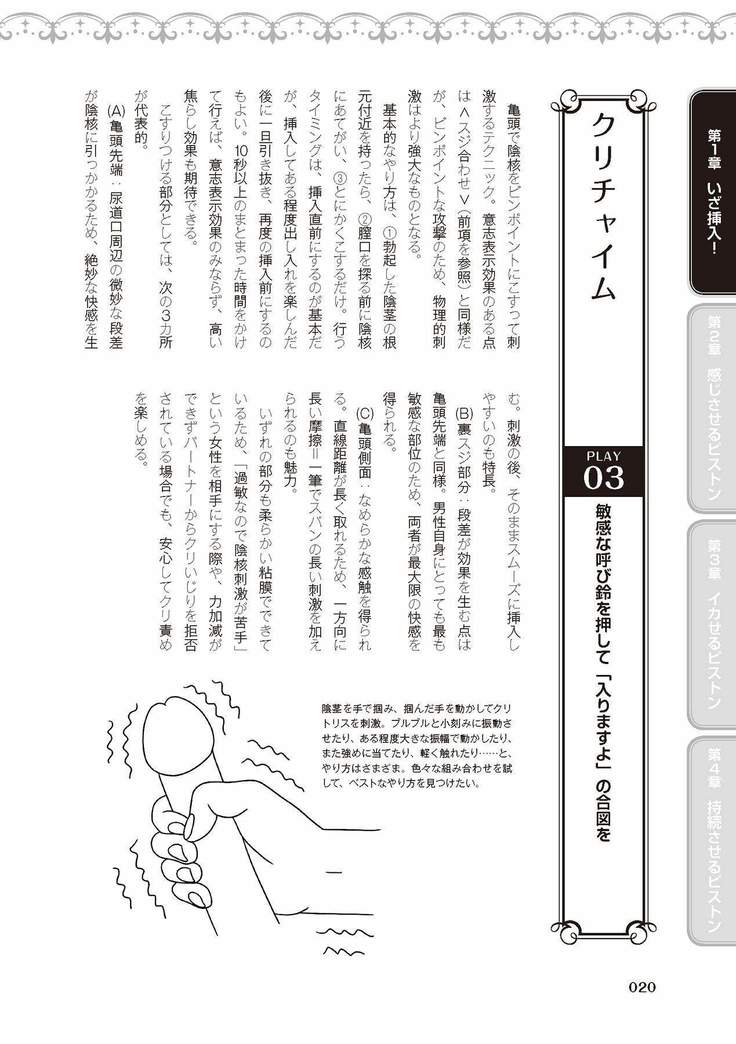 膣挿入＆ピストン運動完全マニュアル イラスト版……ピスとんッ！