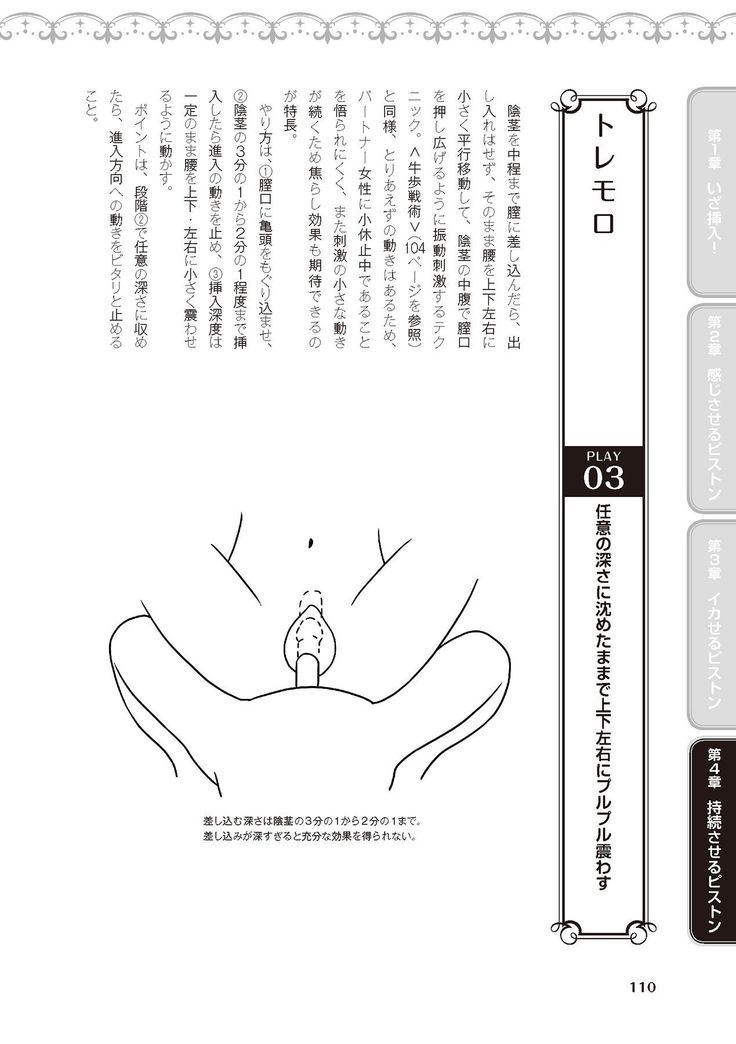 膣挿入＆ピストン運動完全マニュアル イラスト版……ピスとんッ！