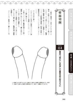 膣挿入＆ピストン運動完全マニュアル イラスト版……ピスとんッ！ Page #83