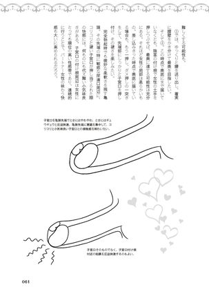 膣挿入＆ピストン運動完全マニュアル イラスト版……ピスとんッ！ Page #64