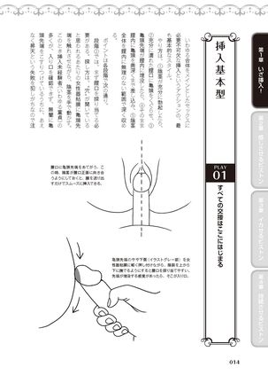 膣挿入＆ピストン運動完全マニュアル イラスト版……ピスとんッ！ Page #17