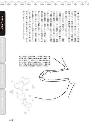膣挿入＆ピストン運動完全マニュアル イラスト版……ピスとんッ！ Page #26