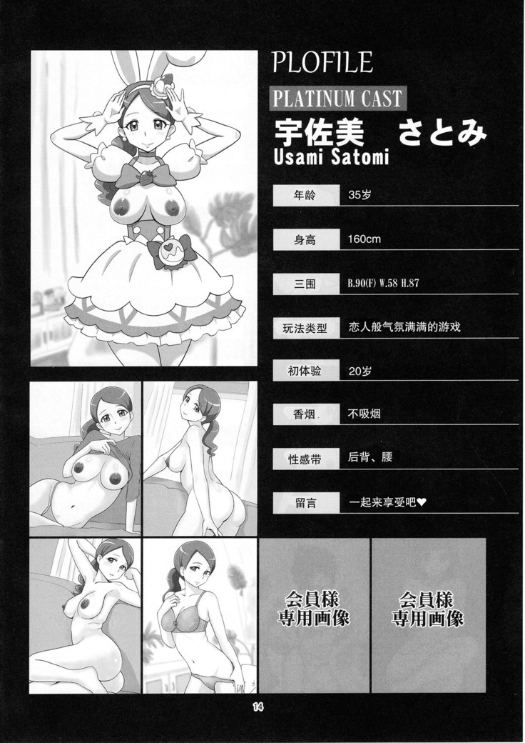 Mess Zylinder 11 PreCure Maman no Iru Chou Koukyuu Fuzokuten