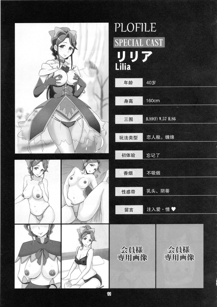 Mess Zylinder 11 PreCure Maman no Iru Chou Koukyuu Fuzokuten