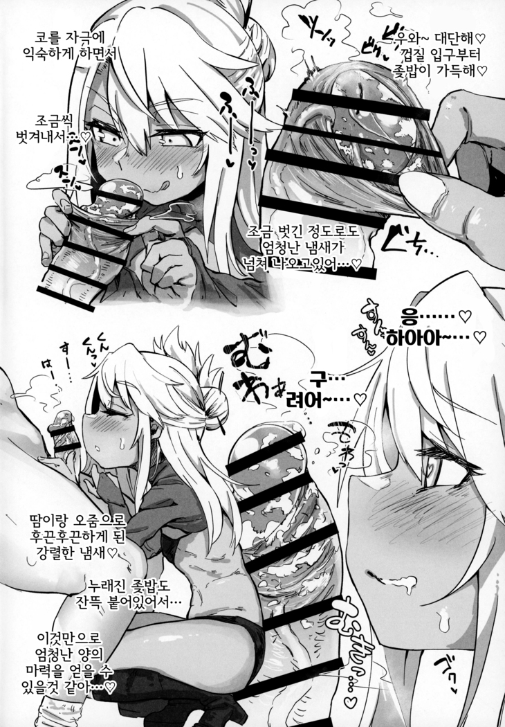 Chaldea Seikou Nisshi Chloe Hen & Mash Hen | 칼데아 성교일지 마슈편 & 클로에편