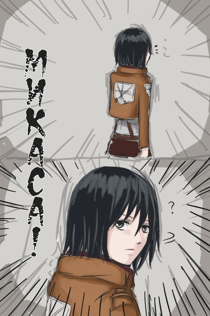 How to Improve Your Relationship with Mikasa