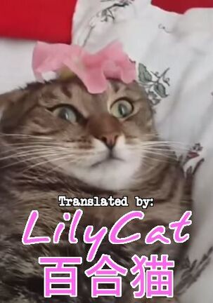 A story where I had become a girl with animal ears when I opened my eyes Page #37