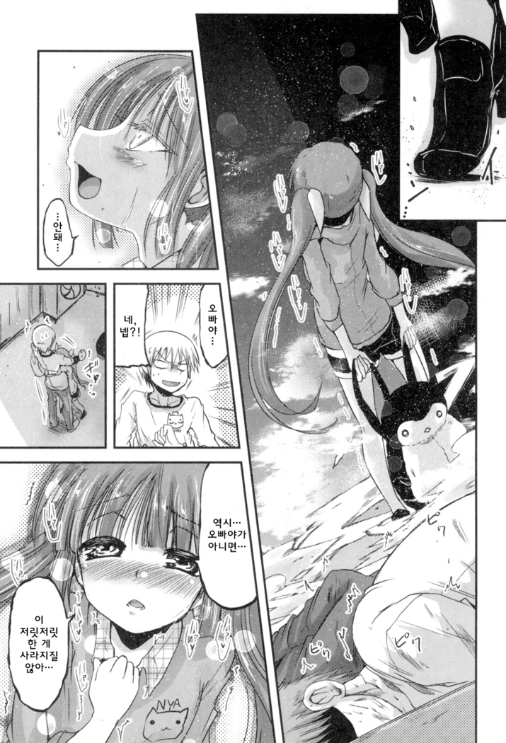 Shikoshisu