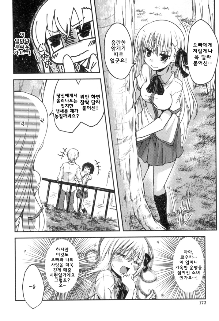 Shikoshisu