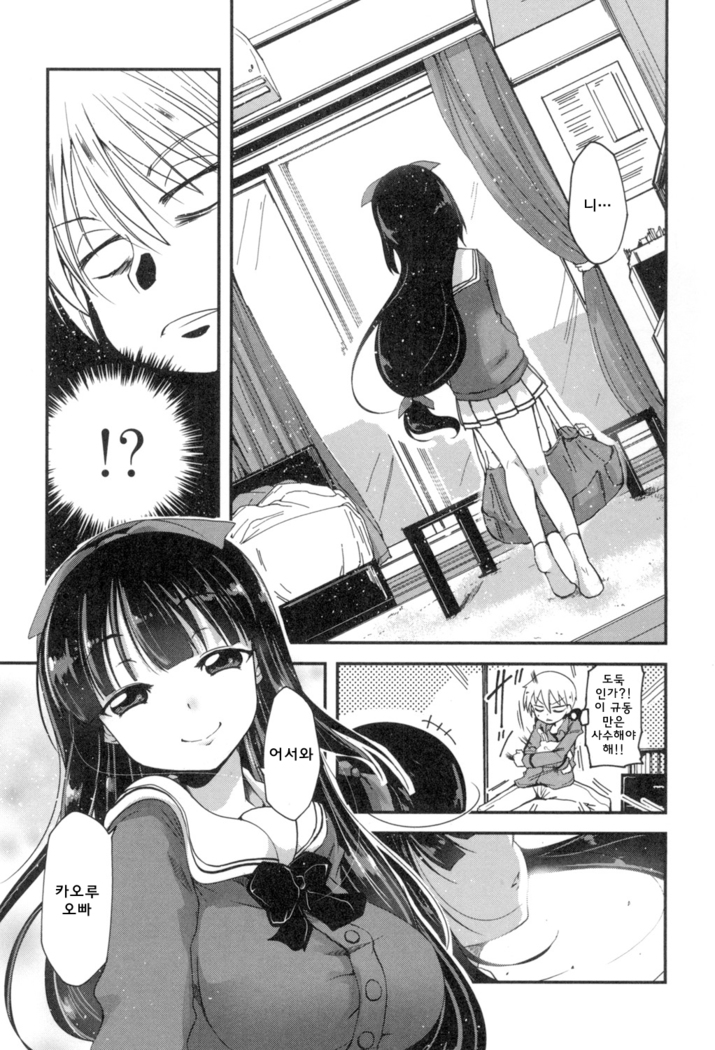 Shikoshisu