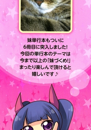 Image 7337025