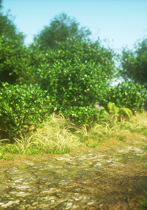 Image 8960240