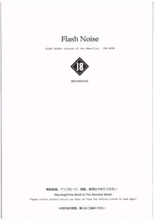 FLASH NOISE