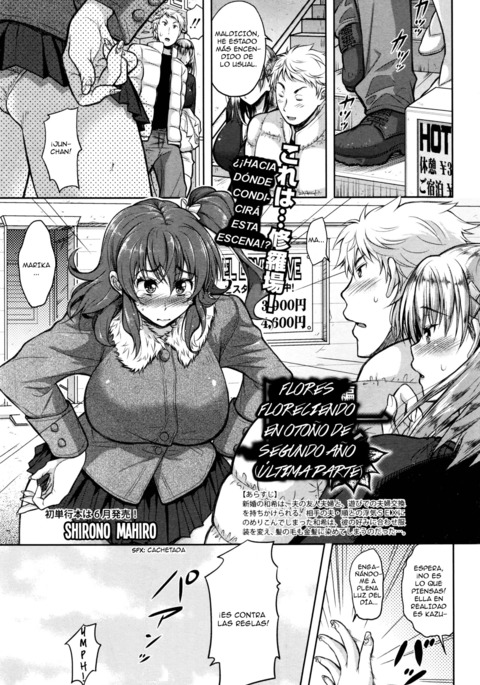 Image 3951515