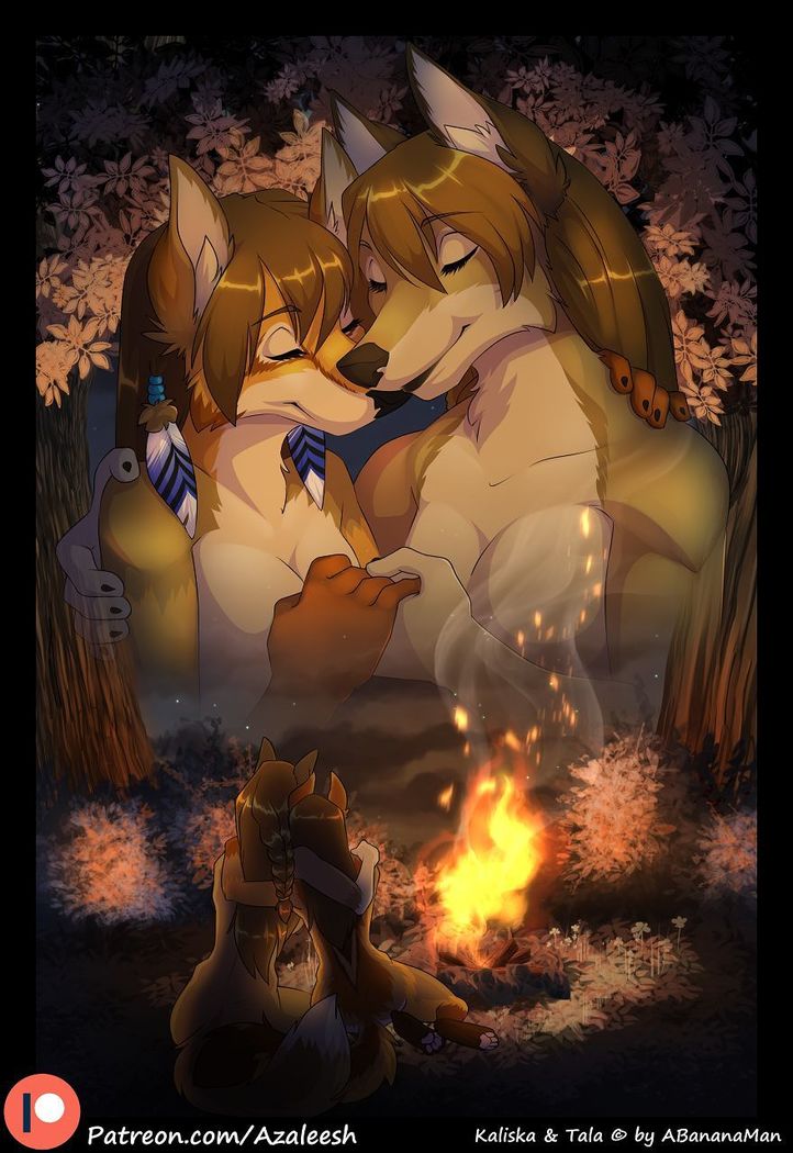 Woodland Encounters