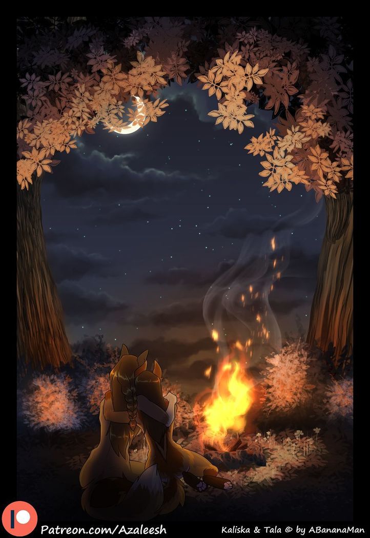 Woodland Encounters