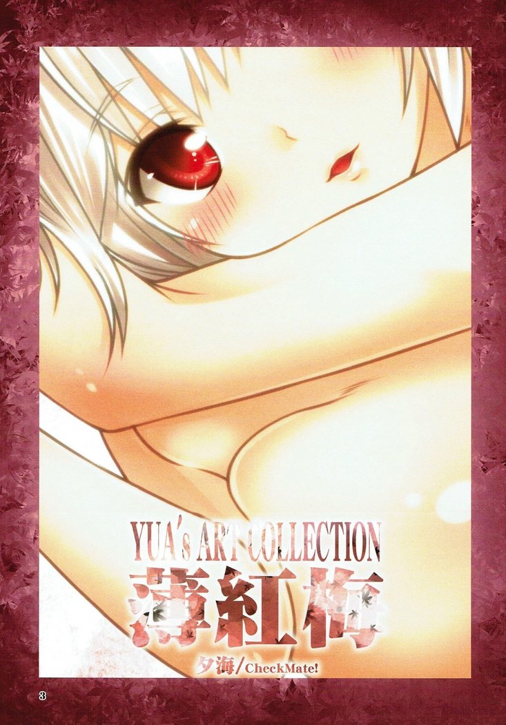 ART COLLECTION Usukoubai