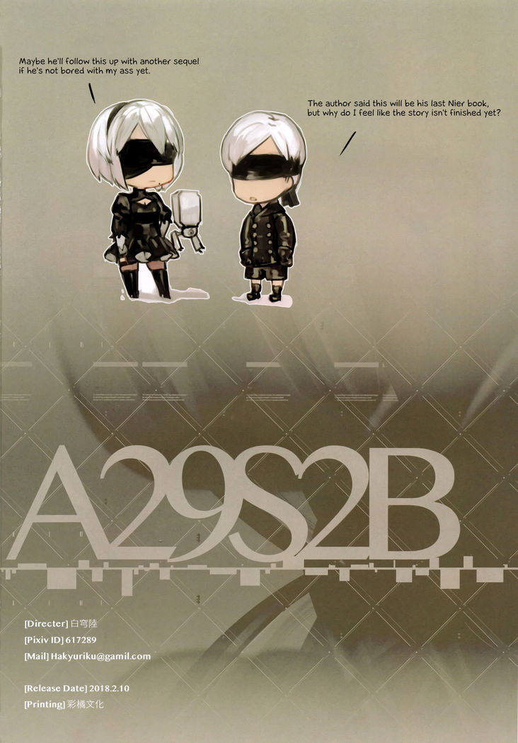 A29S2B