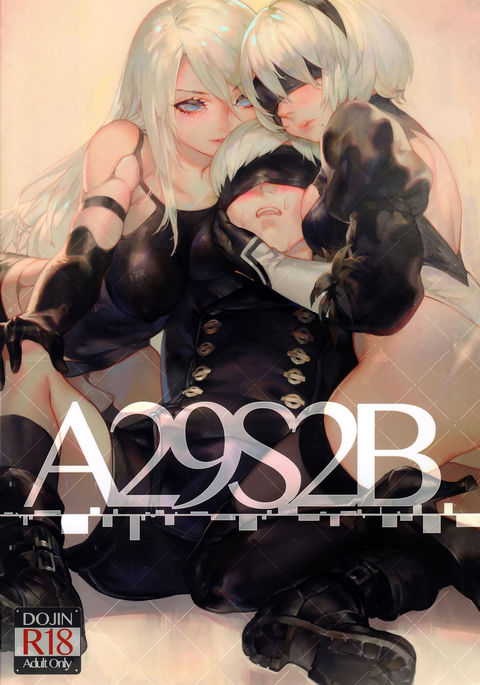 A29S2B