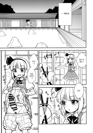 Yuyuko-sama wa Yaritai Houdai! Page #2