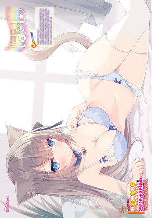 月刊うりぼうざっか店 2020年7月3日発行号 Page #28