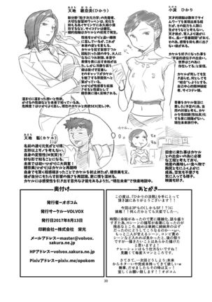 Hikari no Housoku Page #30