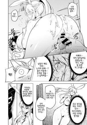 Bunny Ou to Inyoku no Kokuin Zenpen Page #19