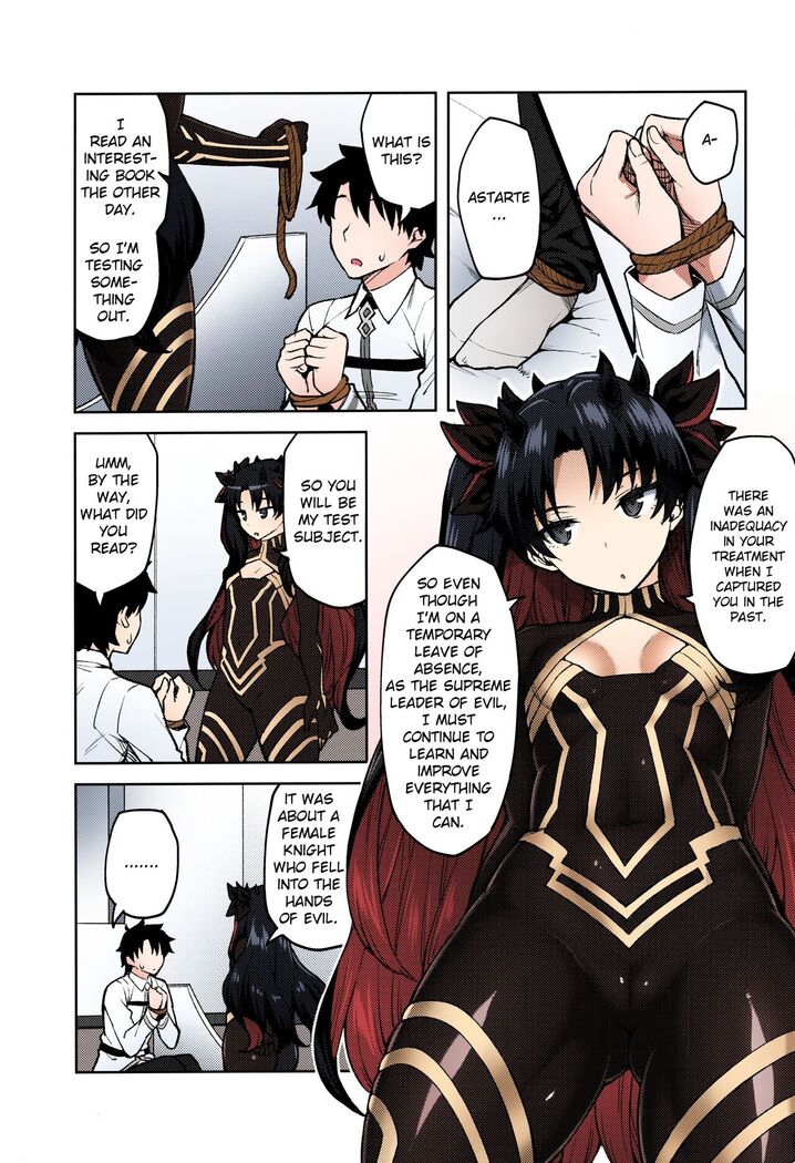 Chaldea Life V