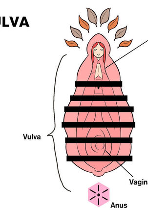 Our Bodies -2nd Edition Page #15