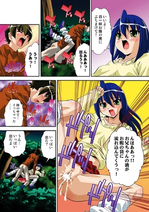 Itsuka Imouto o Okashisou na Ore no Nikuyoku Page #126