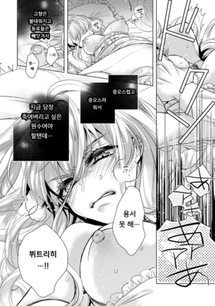 Kyououji no Ibitsu na Shuuai ~Nyotaika Knight no Totsukitooka~ Ch. 6 | 미친 왕자의 왜곡된 포로사랑 ~여체화 기사의 시월 십일~ Ch. 6 Page #28