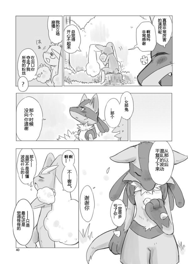 Love and Fight