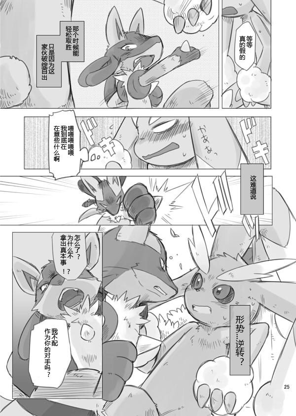 Love and Fight