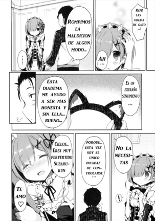 Rem Nyan wa Hatsujouki Page #23