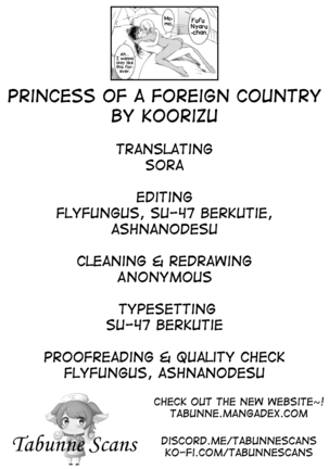 Ikoku no Ohime-sama | Princess of a Foreign Country Page #33