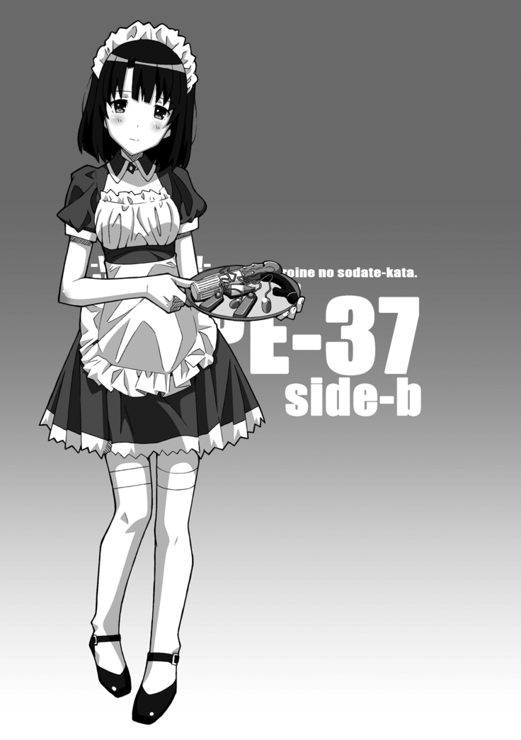 TYPE-37 side-b