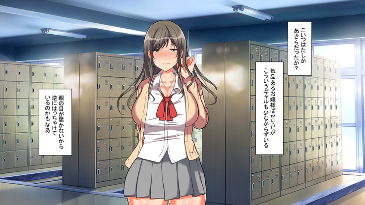お嬢様学校に男はオレだけッ！ヤりまくりスクールライフ！