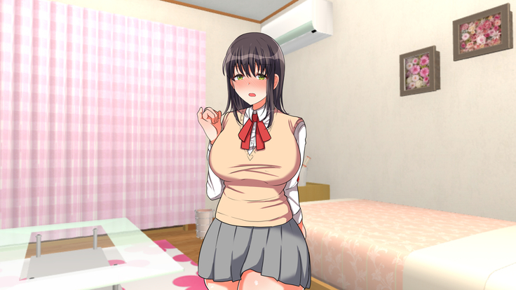 お嬢様学校に男はオレだけッ！ヤりまくりスクールライフ！
