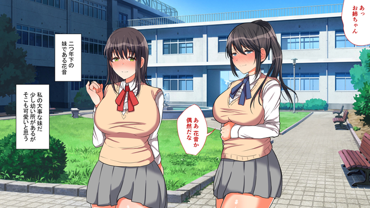 お嬢様学校に男はオレだけッ！ヤりまくりスクールライフ！