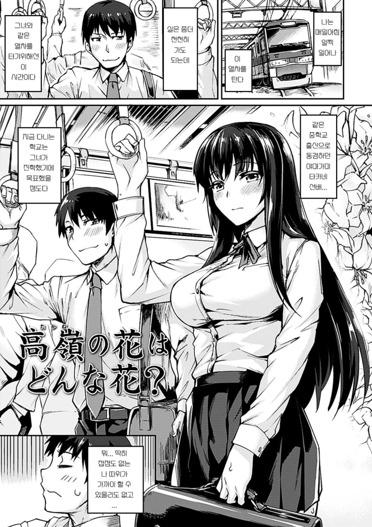 Suki tte Itteru jan - I said I love you.