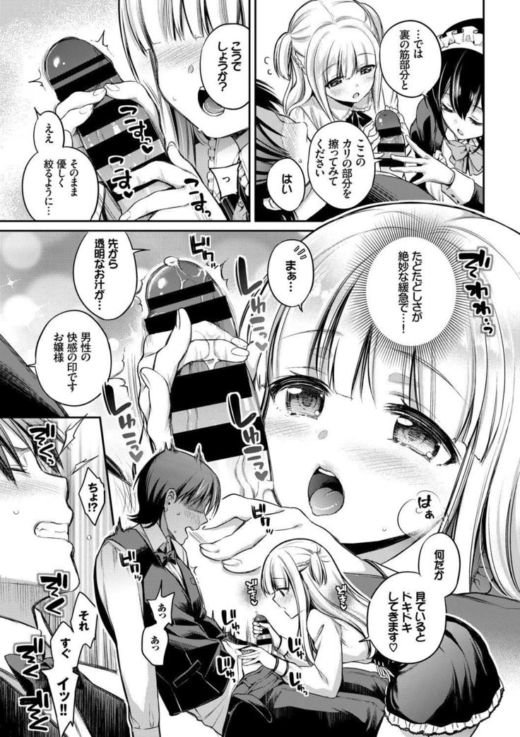 Kouki na Ojou-sama wa Chitsunai Shasei ga Osuki