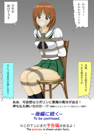 Miporin Zettai Zetsumei!! Page #28