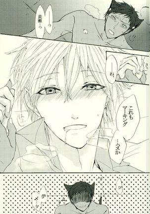 Neko no Kimochi 3 Page #27