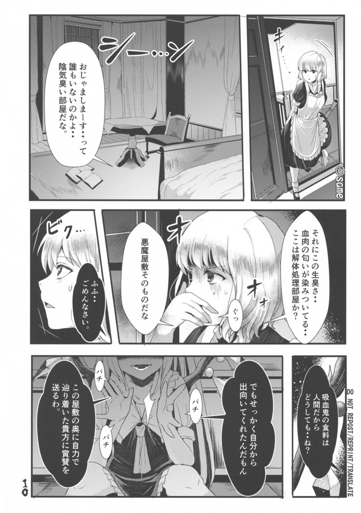 ふたなり妹様の愛玩人形